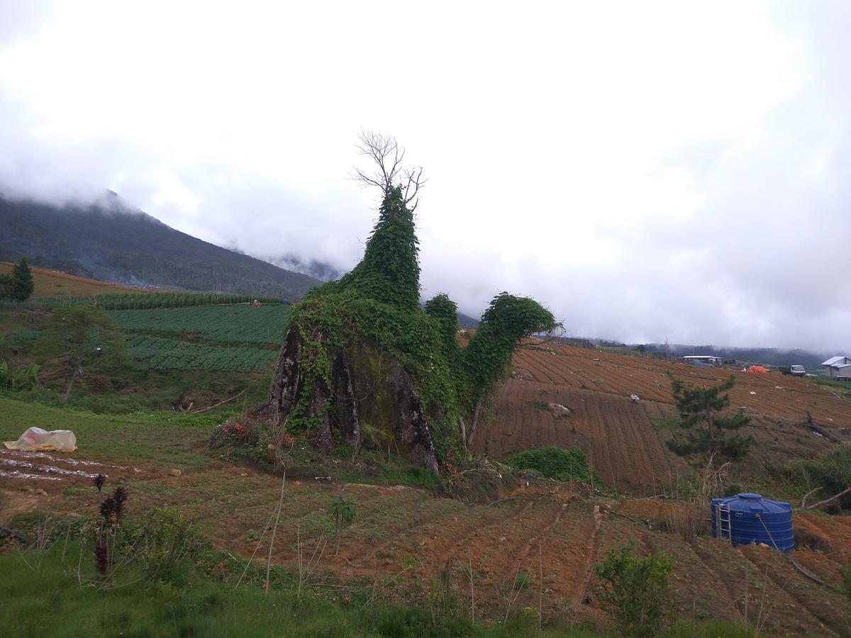 Mesilau Mountain Retreats Vila Kampong Kundassan Exterior foto